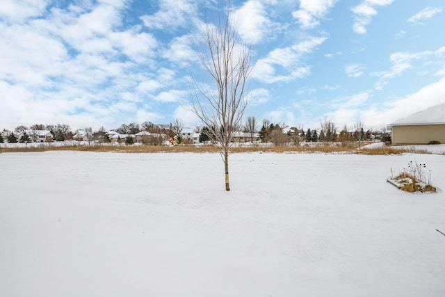 view of snowy yard