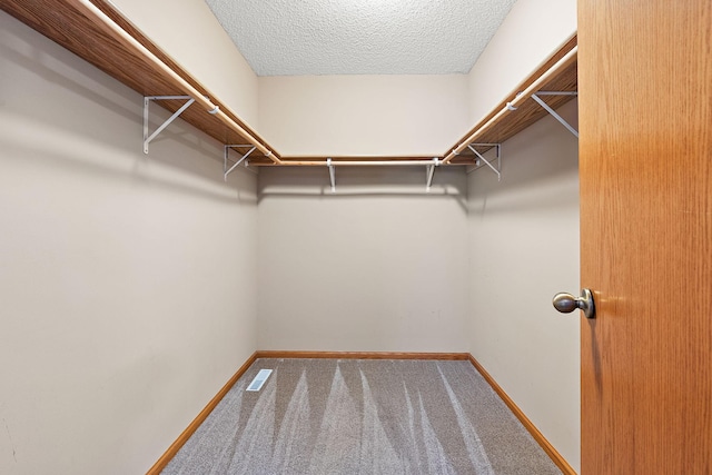 walk in closet with carpet floors