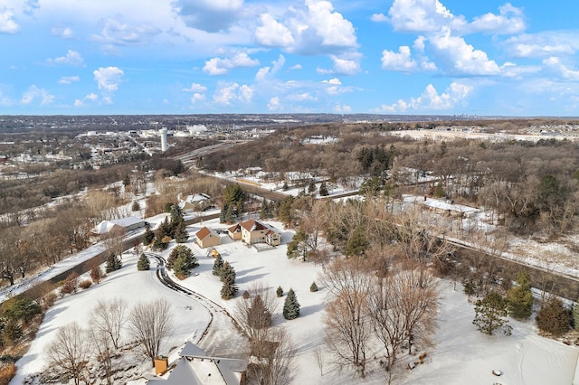 view of snowy aerial view