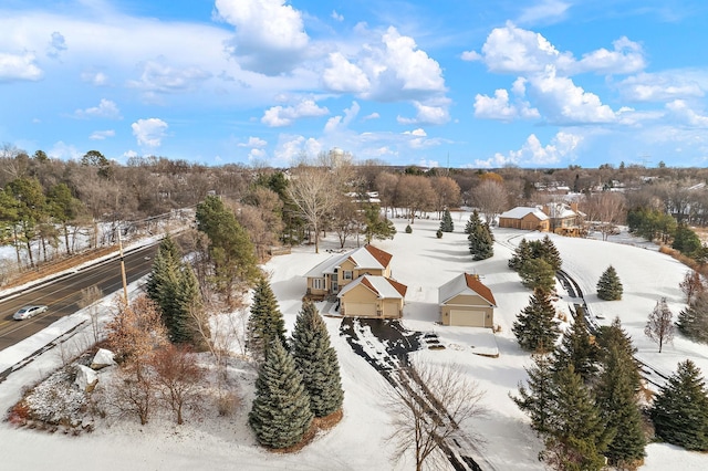 view of snowy aerial view