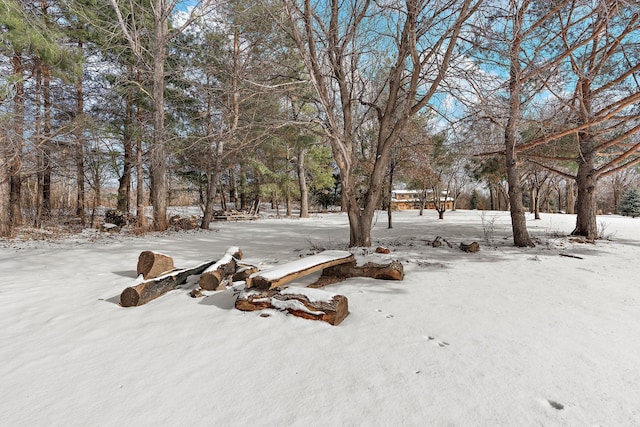 view of yard covered in snow