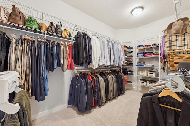 spacious closet featuring light colored carpet