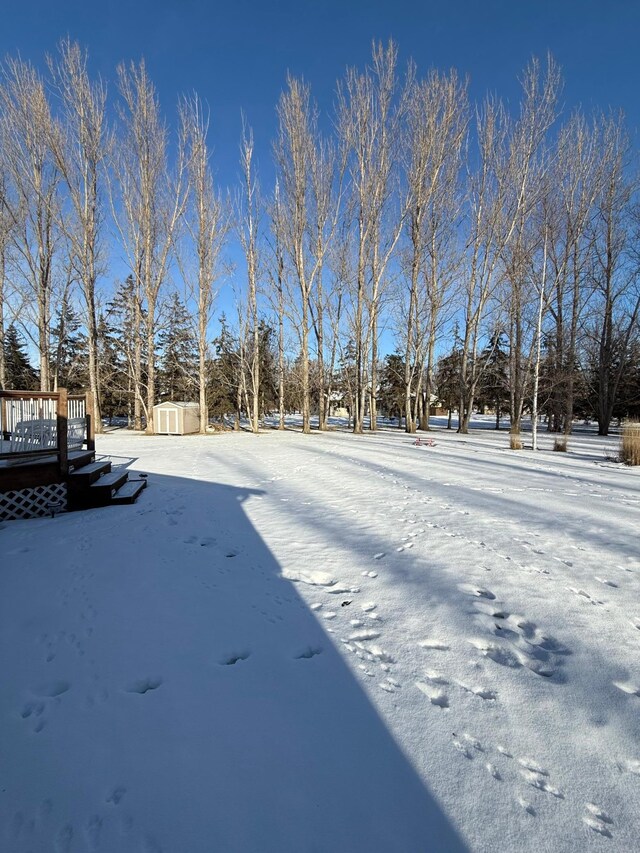 snowy yard with a shed, an outbuilding, and a wooden deck
