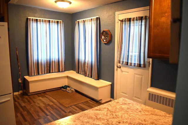 foyer entrance featuring radiator heating unit and dark wood-type flooring