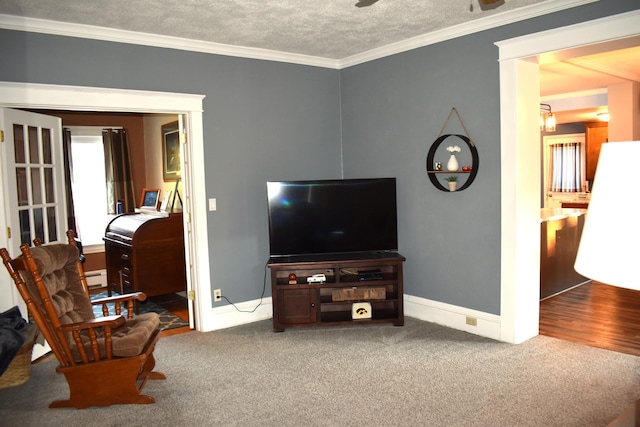 carpeted living room featuring a textured ceiling, crown molding, and a baseboard heating unit