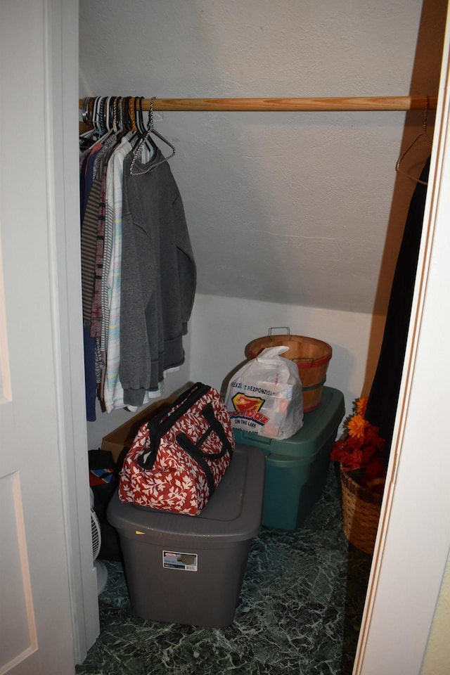 walk in closet with vaulted ceiling