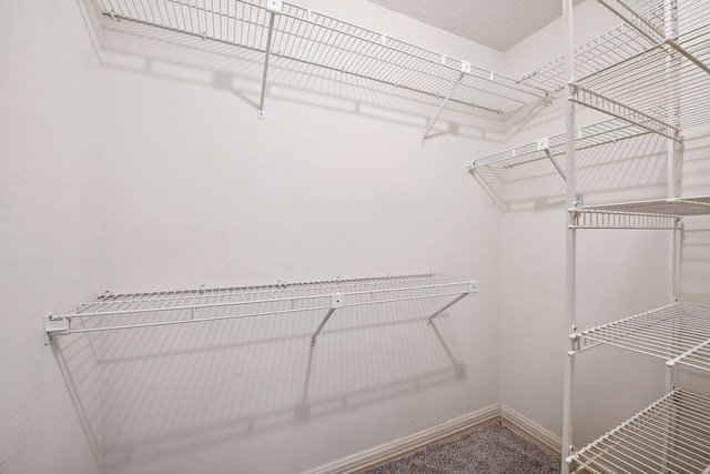 spacious closet with carpet floors