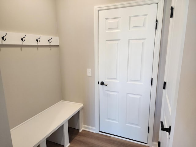 mudroom featuring dark wood-type flooring