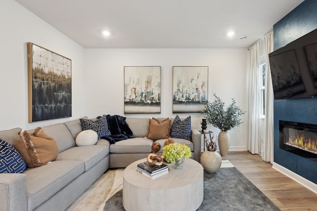 living room featuring a fireplace and light hardwood / wood-style flooring