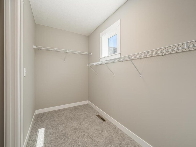 spacious closet with light carpet