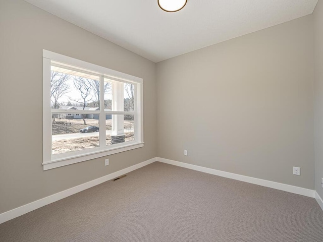 spare room with carpet floors