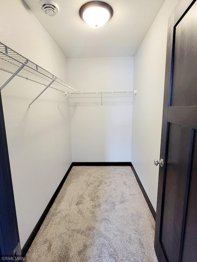 spacious closet featuring carpet flooring