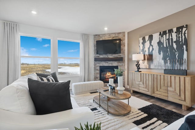 living room with wood-type flooring and a stone fireplace