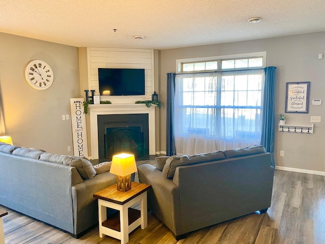 living room featuring a fireplace, wood-type flooring, and a textured ceiling