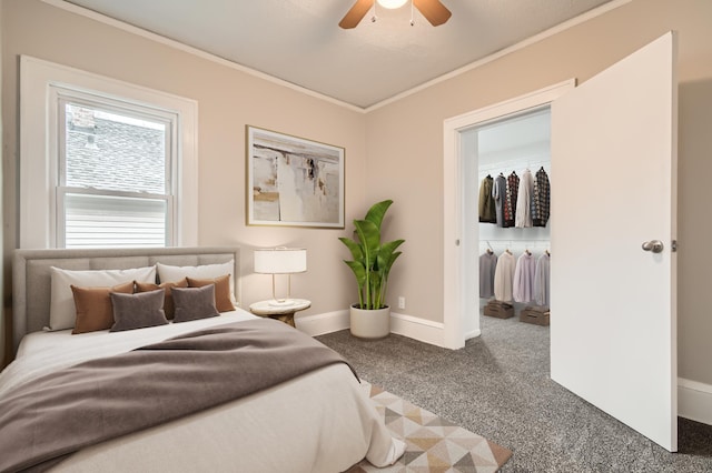 carpeted bedroom with ceiling fan, a closet, and crown molding