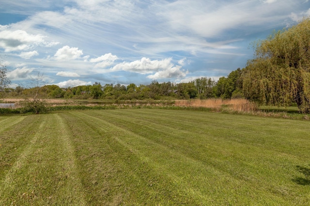 view of yard featuring a rural view