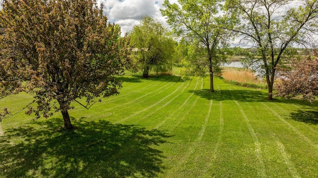 view of yard featuring a water view