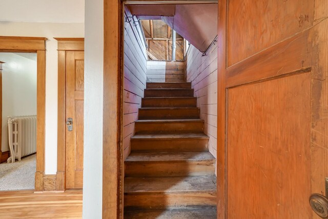 409 Adams St, Arlington, MN 55307 - stairs with radiator heating unit, wood-type flooring, and wood walls