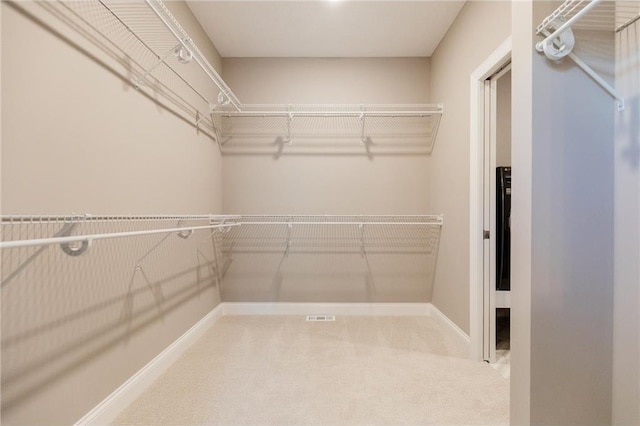 spacious closet with carpet flooring