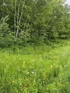 26259 County Road 26, Garrison, MN 56450 - photo 3