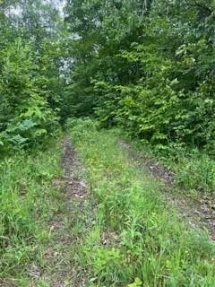 26259 County Road 26, Garrison, MN 56450 - photo 1