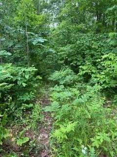 26259 County Road 26, Garrison, MN 56450 - photo 2