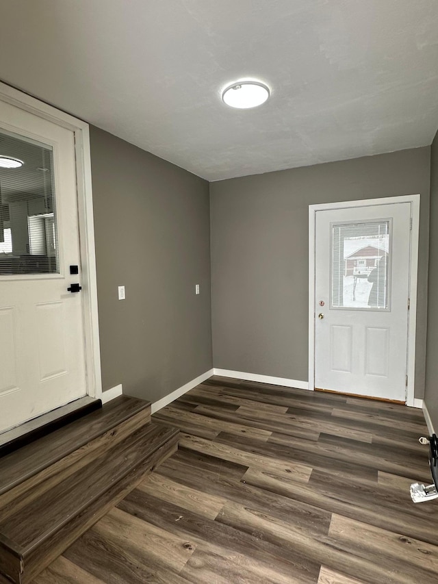 foyer entrance featuring dark hardwood / wood-style flooring