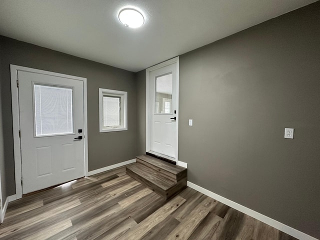 foyer entrance featuring hardwood / wood-style floors