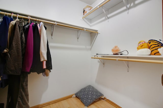 walk in closet with wood-type flooring