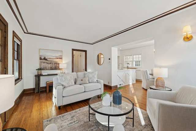 living room with crown molding, wood-type flooring, and sink