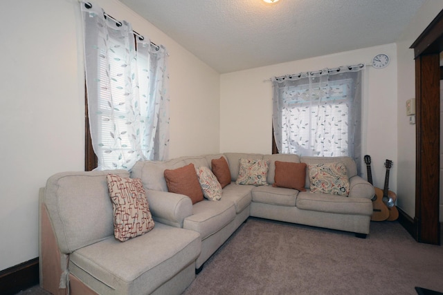 carpeted living room with plenty of natural light and a textured ceiling