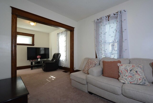 view of carpeted living room