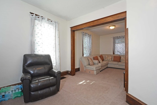 living room with light carpet