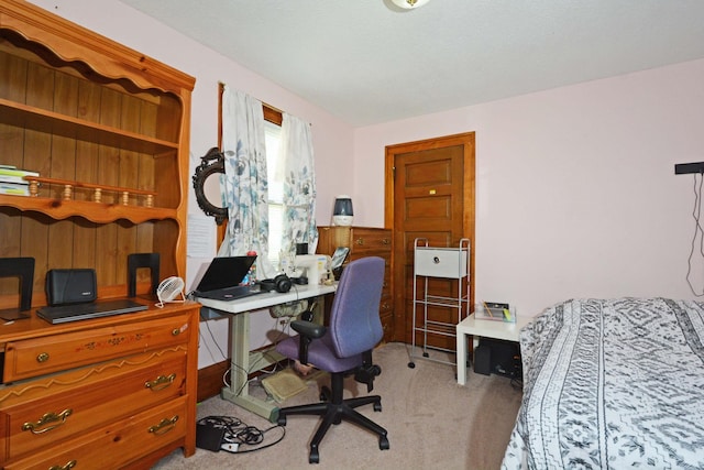 home office featuring light colored carpet