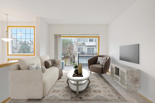 living room featuring carpet flooring