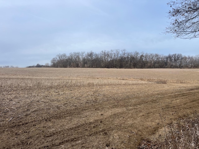 4485 75th St SE, Rochester, MN 55904 - photo 117