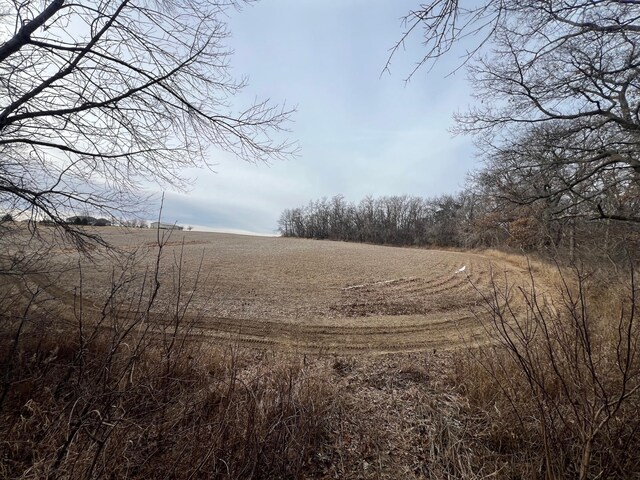 4485 75th St SE, Rochester, MN 55904 - photo 122