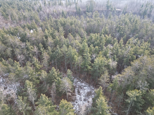 XXX Witt Ln, Sandstone MN, 55072 land for sale