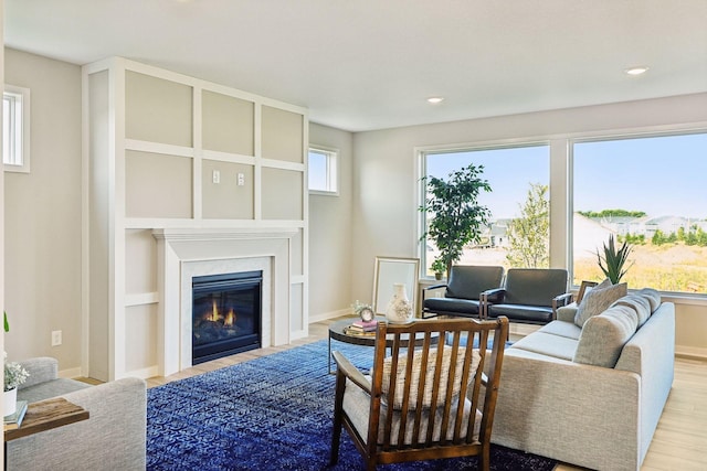 living room featuring light hardwood / wood-style floors