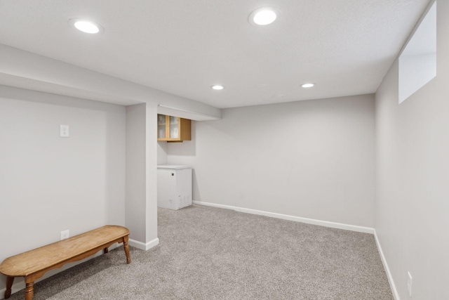 basement featuring carpet