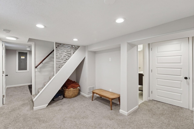 basement with light colored carpet