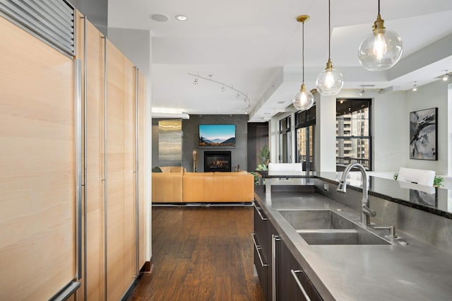 317 Groveland Ave Unit 700, Minneapolis, MN 55403 - kitchen with open floor plan, a fireplace, dark wood-style flooring, pendant lighting, and stainless steel counters