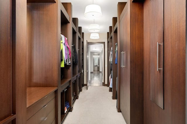 317 Groveland Ave Unit 700, Minneapolis, MN 55403 - mudroom featuring light colored carpet