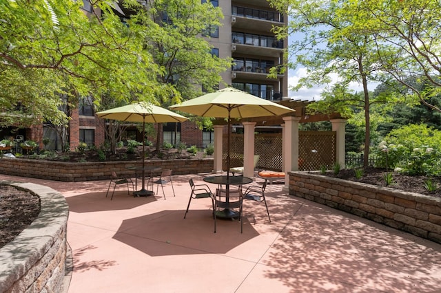 317 Groveland Ave Unit 700, Minneapolis, MN 55403 - view of patio