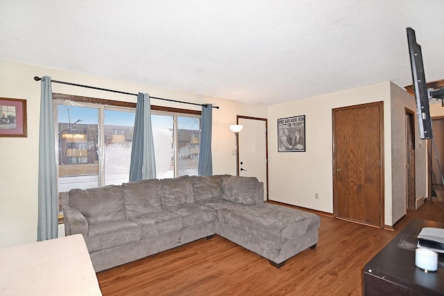 living room with hardwood / wood-style flooring