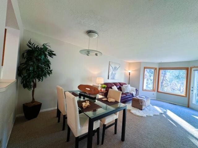 carpeted dining room with a textured ceiling