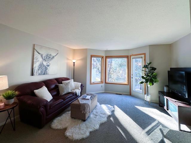 carpeted living room with a textured ceiling