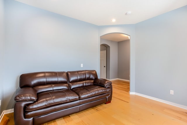 living room featuring wood-type flooring