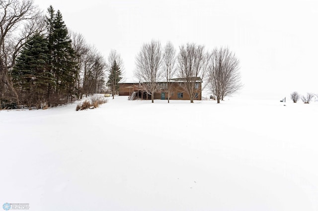 view of yard covered in snow