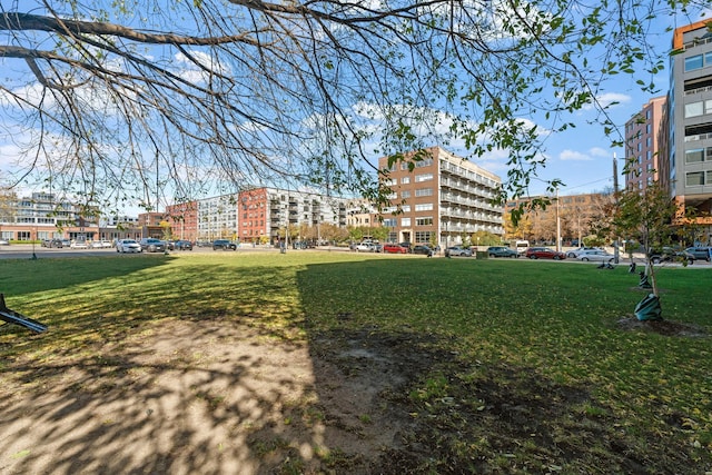 view of home's community with a yard